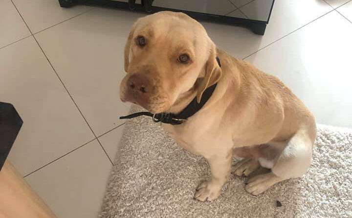 Від Тарнополя до Тернополя