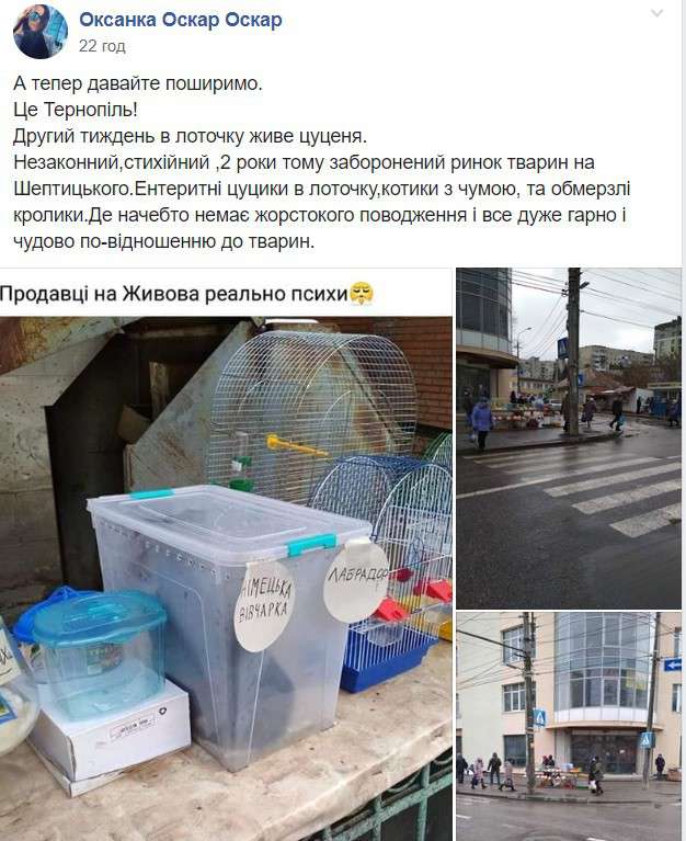Від Тарнополя до Тернополя