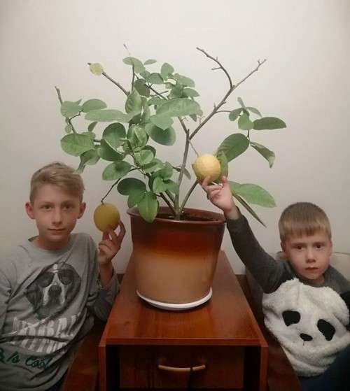 Від Тарнополя до Тернополя