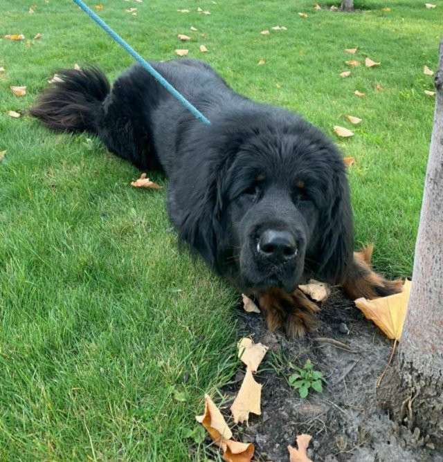 Від Тарнополя до Тернополя