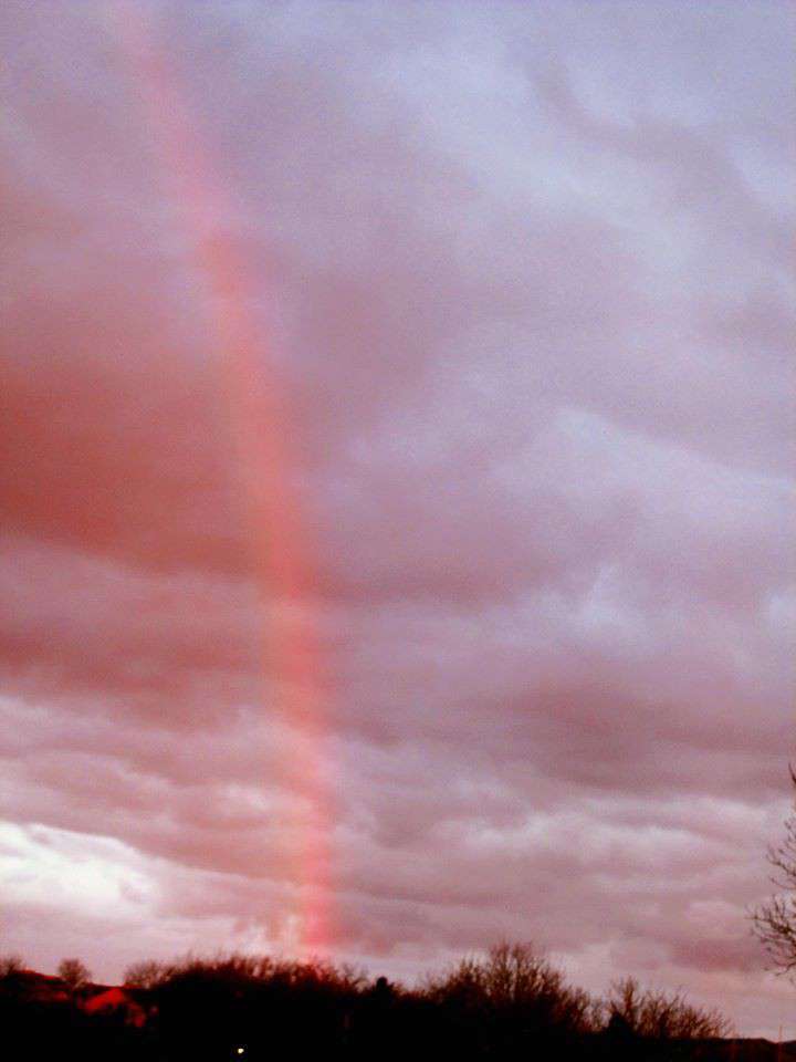 Від Тарнополя до Тернополя