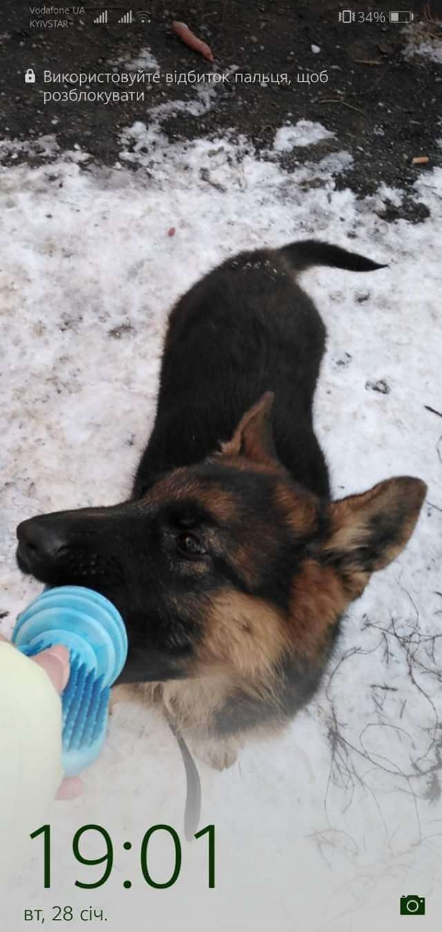 Від Тарнополя до Тернополя