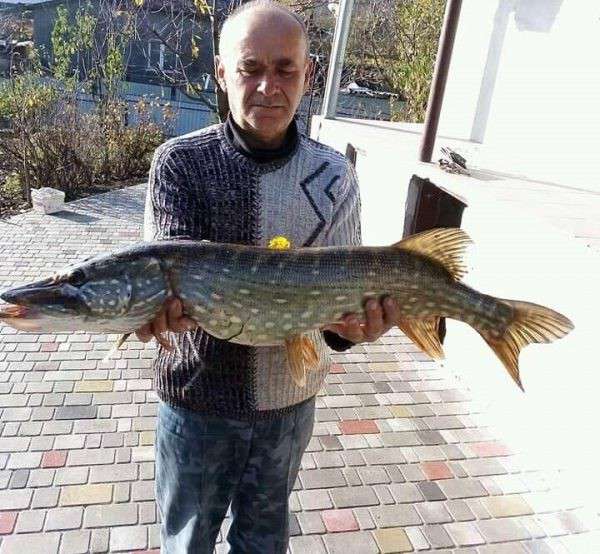 Від Тарнополя до Тернополя