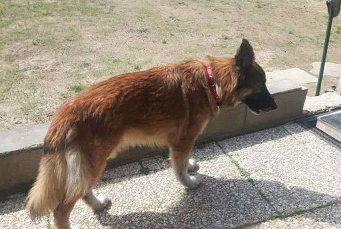 Від Тарнополя до Тернополя