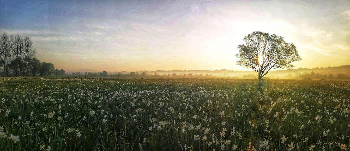 Від Тарнополя до Тернополя