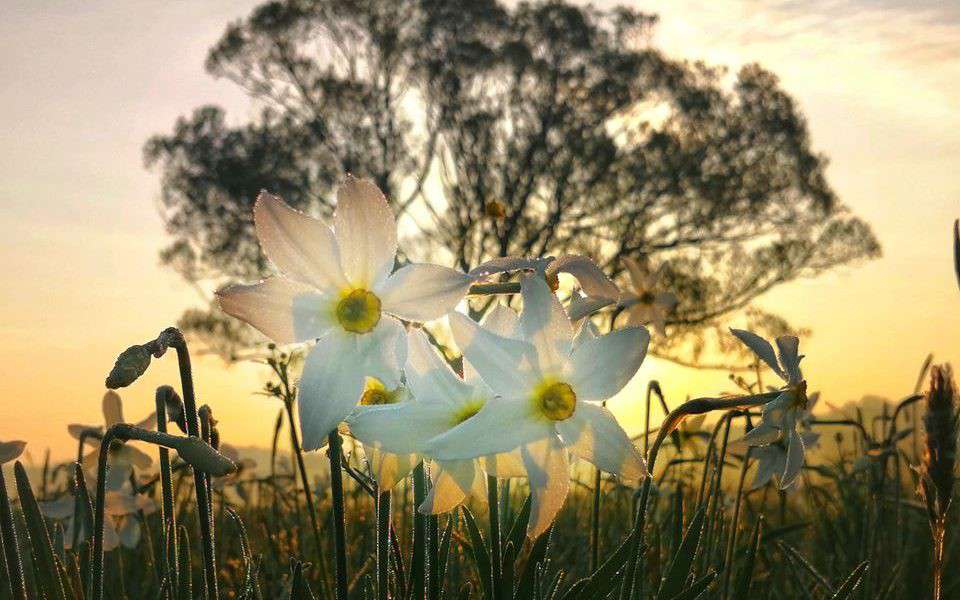 Від Тарнополя до Тернополя