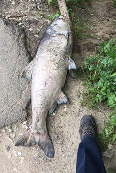 Від Тарнополя до Тернополя