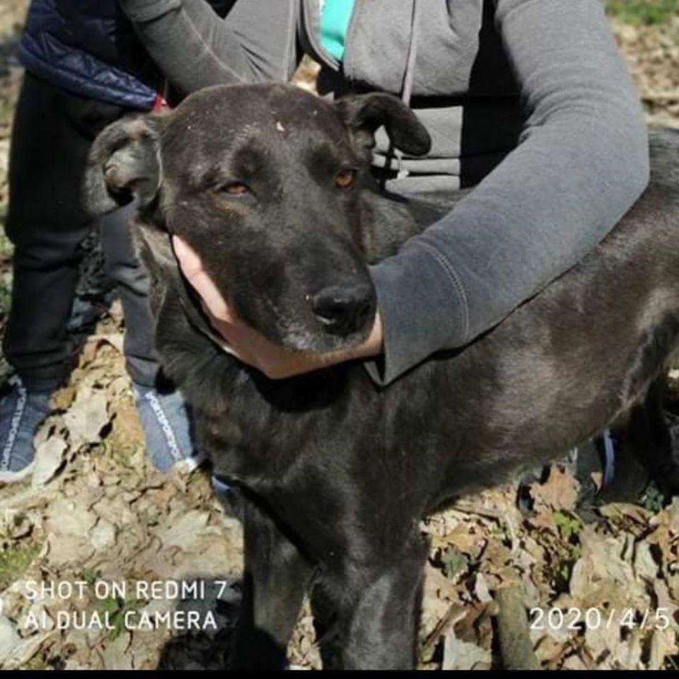 Від Тарнополя до Тернополя