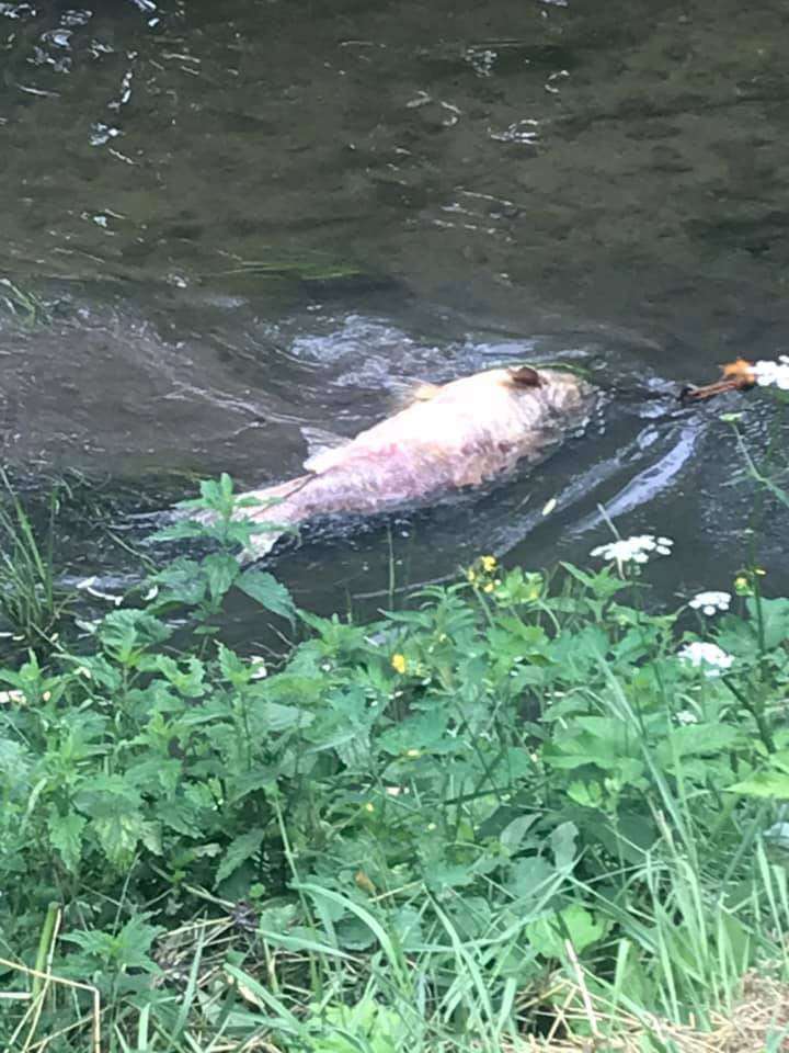 Від Тарнополя до Тернополя