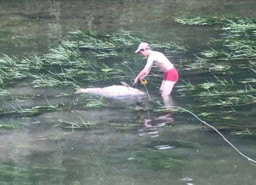 Від Тарнополя до Тернополя