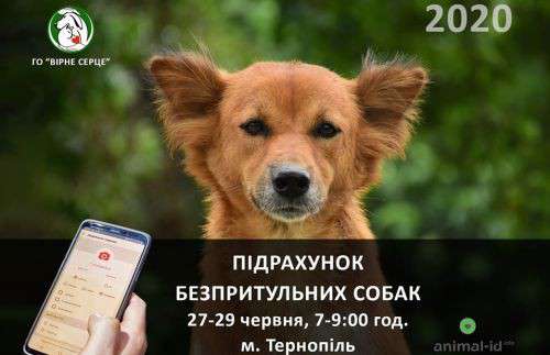 Від Тарнополя до Тернополя