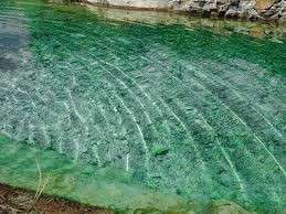 Від Тарнополя до Тернополя