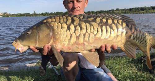 Від Тарнополя до Тернополя