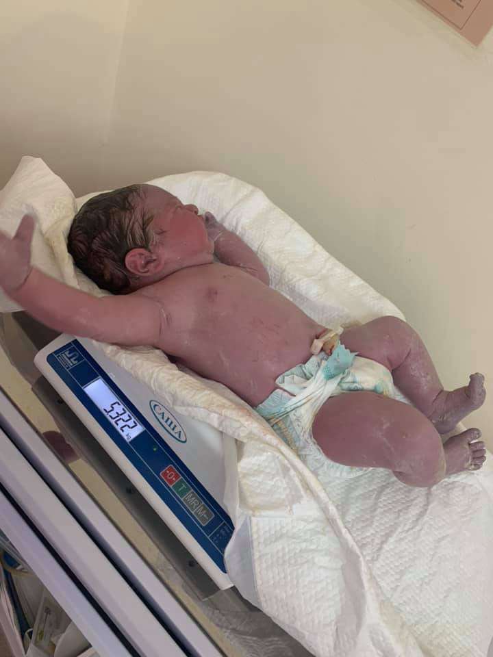 Від Тарнополя до Тернополя