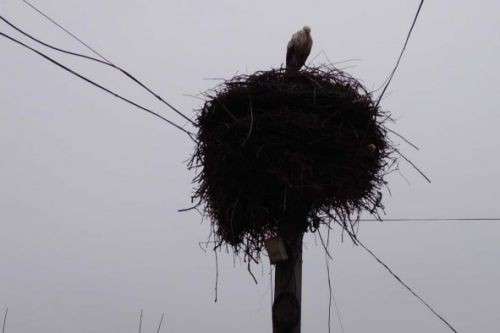 Від Тарнополя до Тернополя