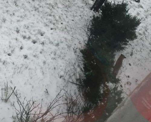 Від Тарнополя до Тернополя