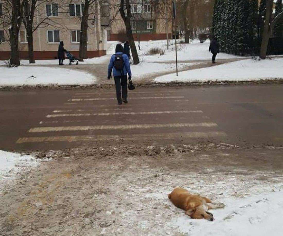 Від Тарнополя до Тернополя
