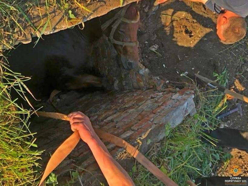 Від Тарнополя до Тернополя