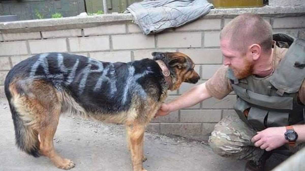 Від Тарнополя до Тернополя