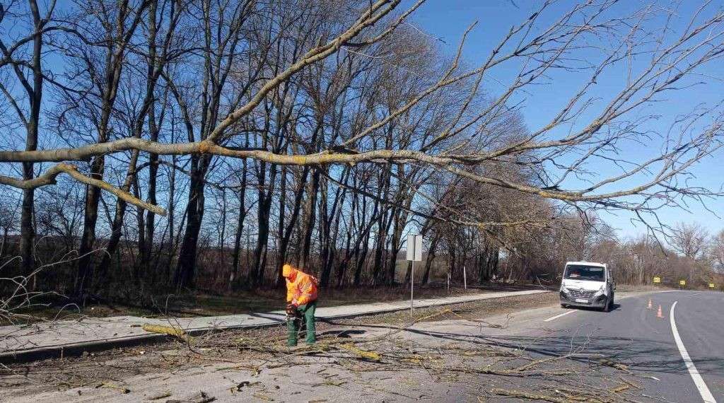 Від Тарнополя до Тернополя