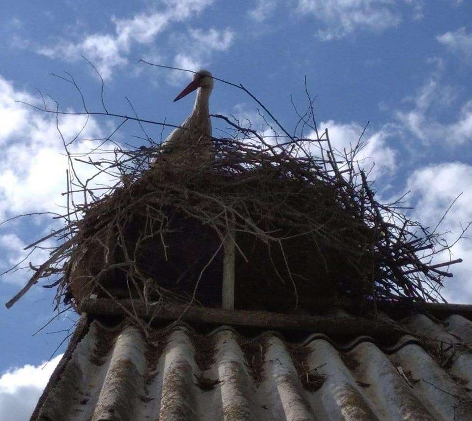 Від Тарнополя до Тернополя