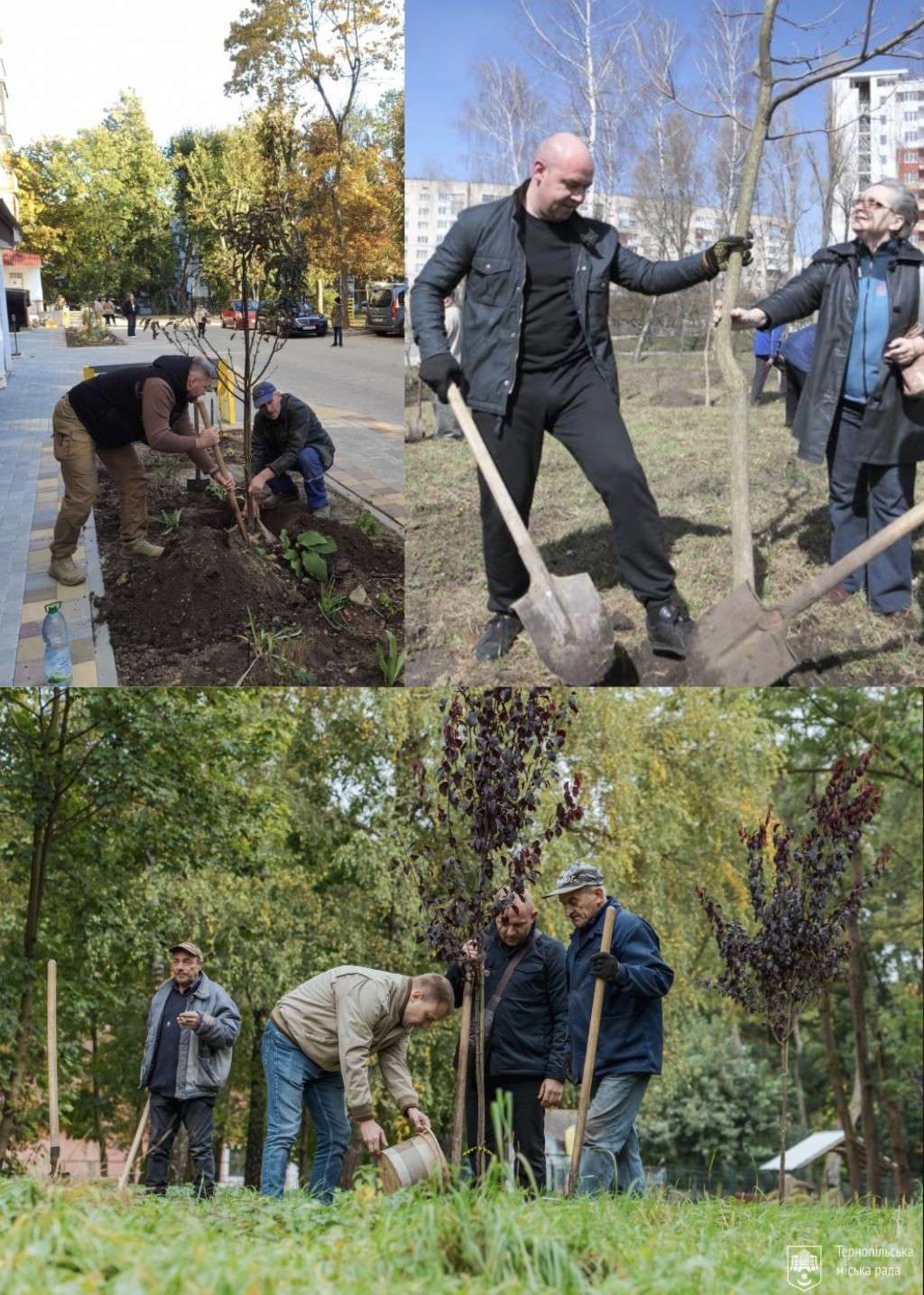 Від Тарнополя до Тернополя