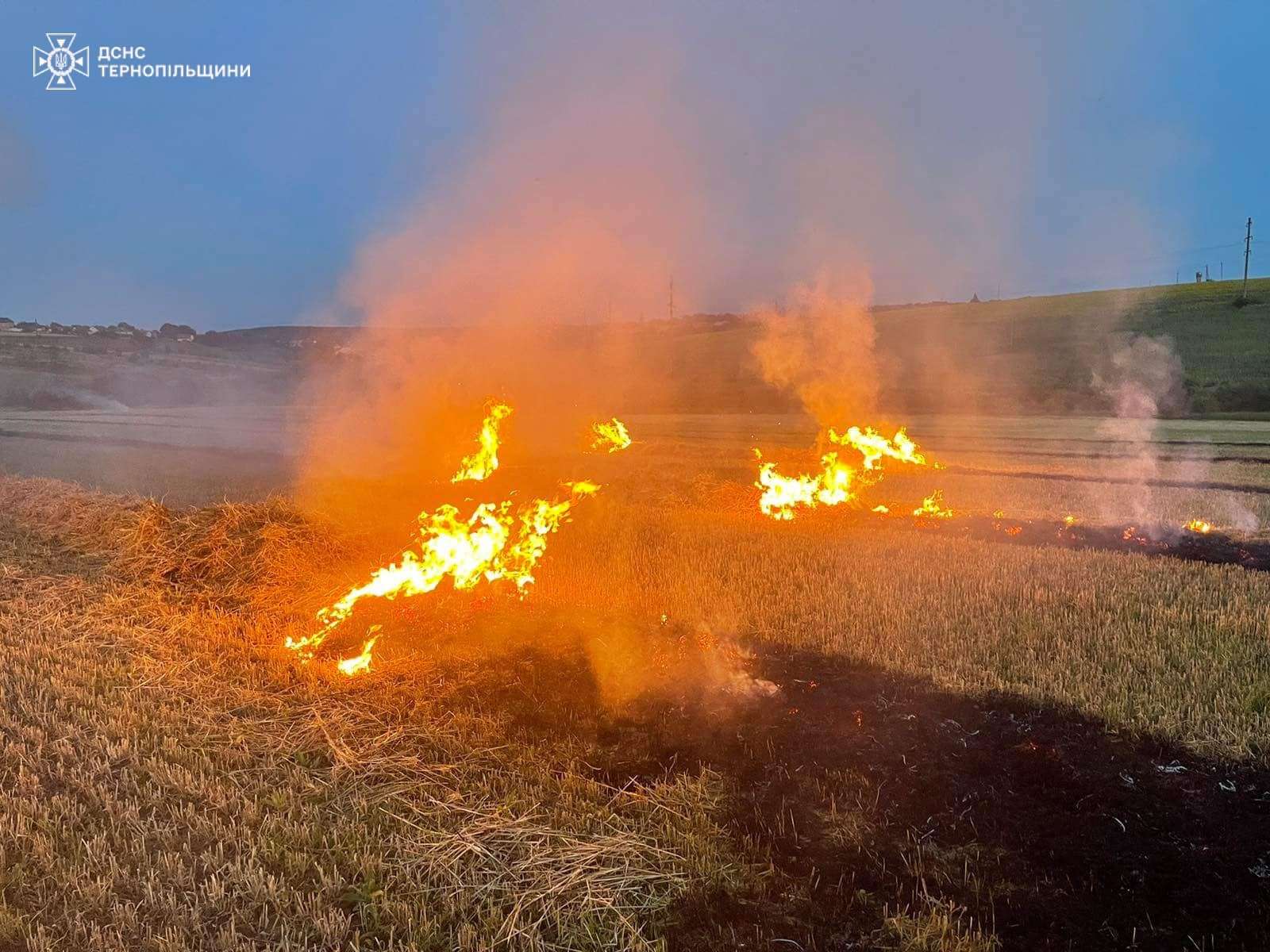 Від Тарнополя до Тернополя