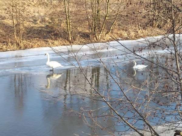 Від Тарнополя до Тернополя