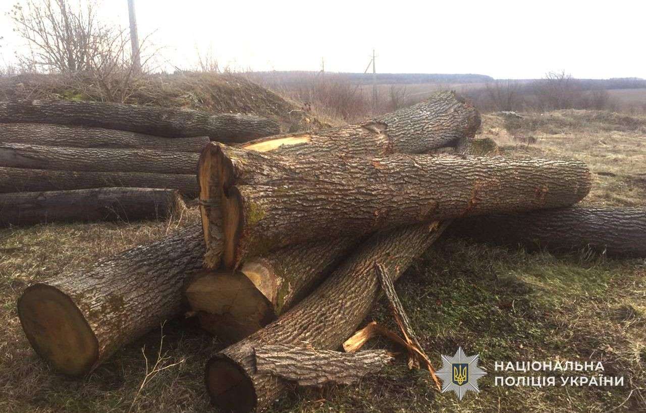 Від Тарнополя до Тернополя