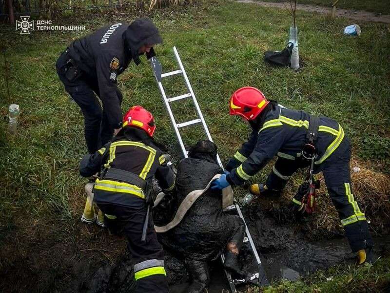 Від Тарнополя до Тернополя