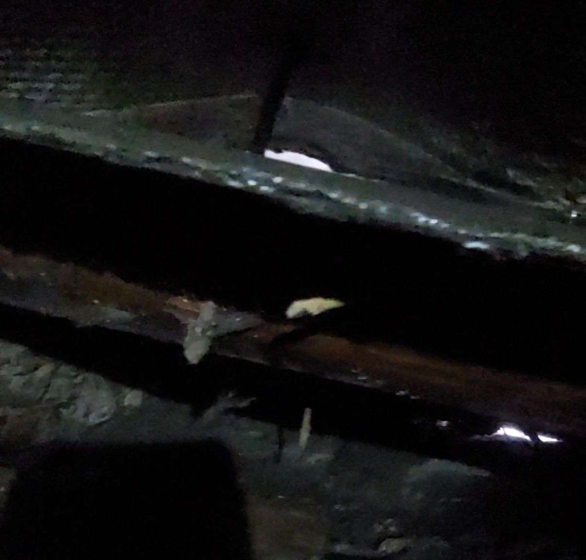 Від Тарнополя до Тернополя