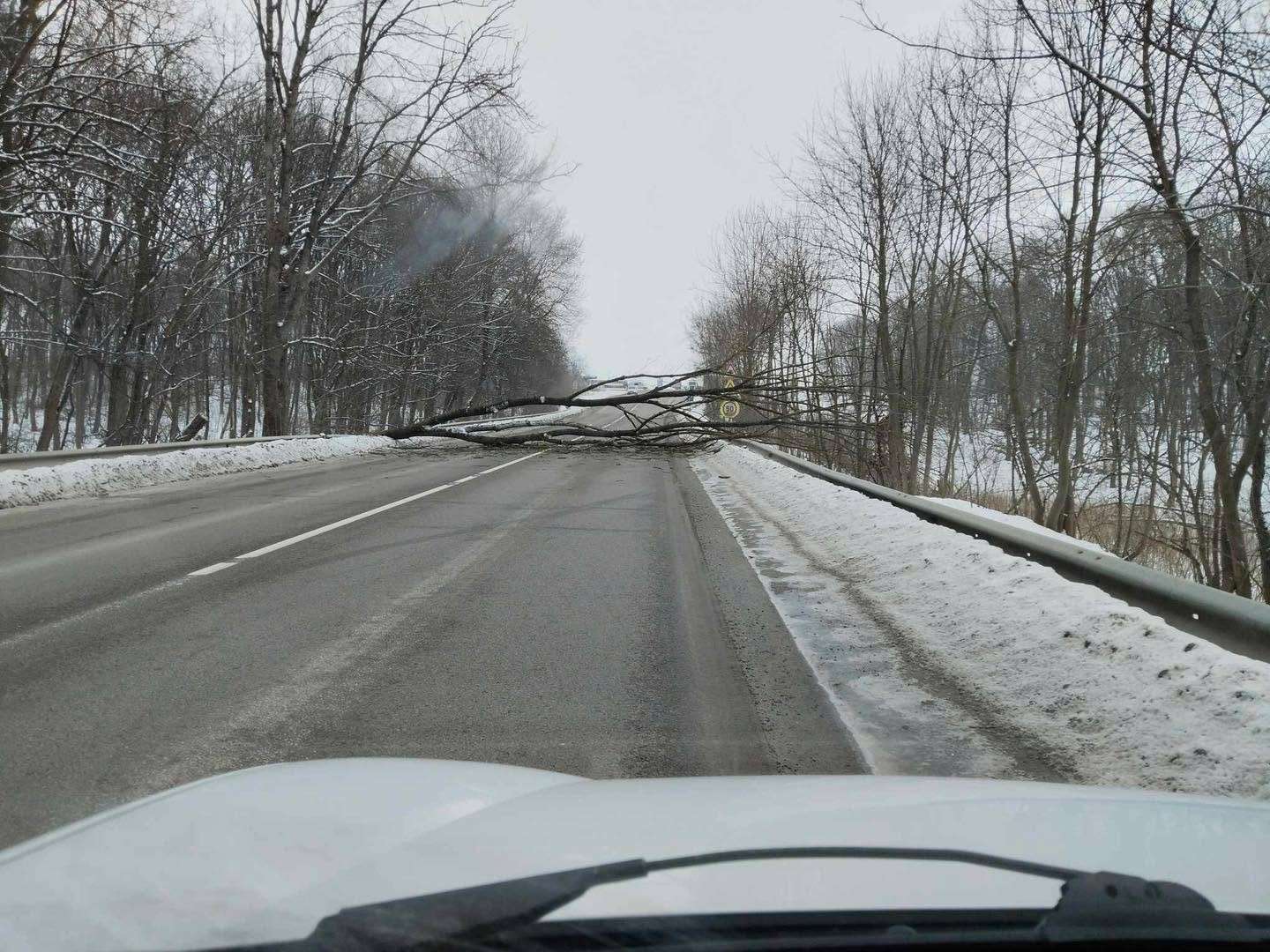 Від Тарнополя до Тернополя
