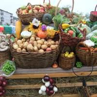 Як вчора Тернопіль ярмаркував