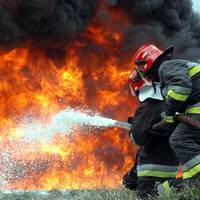 В селі Лосяч Борщівського району горіла кукурудза