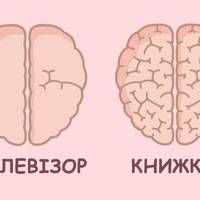 Цікаві факти про наш мозок