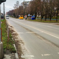 Тернополяни збирають підписи для встановлення лежачого поліцейського на Тарнавського