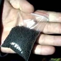 Нацгвардійці зловили малолітнього наркомана