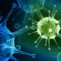 Тернопільщиною ходить небезпечний вірус