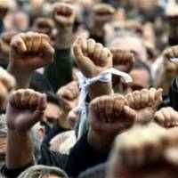 Лісники Тернопільщини протестують