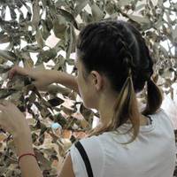 Понад тисячу квадратних метрів маскувальних сіток сплели тернопільські студенти-історики