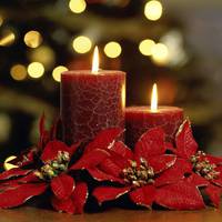 Близько 200 дітей зі сходу проведуть різдвяні свята на Тернопільщині