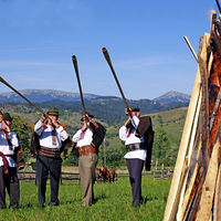 Це потрібно бачити: гуцульський кавер на “Despacito”. ВІДЕО