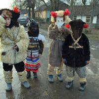 Хто розносить привітання по будинках українців у Щедрий вечір?! (ВІДЕО)