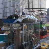 На Шептицького знову йде торгівля повним ходом