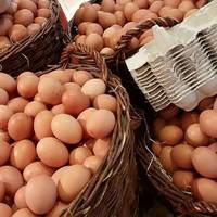 Тернопільська область: Які продукти найбільше подорожчали?