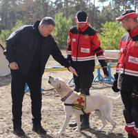 У Тернополі живе пес, який рятує людські життя