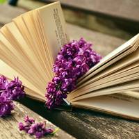 Добірка українських книг, які читають у всьому світі