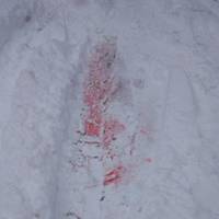 Невідомі розливають смертельну отруту в центрі Тернополя