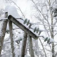 Через негоду 25 населених пунктів Тернопільщини залишилися без світла