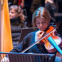 Попутник з Тернополя вкрав цінний музичний інструмент